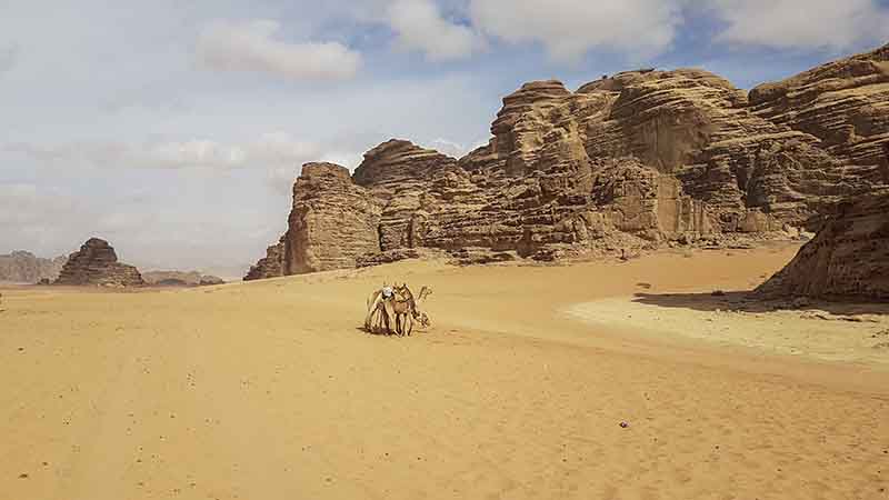 133 - Jordania - desierto de Wadi Rum - camellos